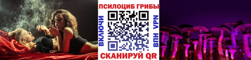 мега онион  Приволжск  Псилоцибиновые грибы Psilocybine cubensis 